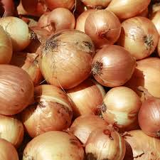 Onion 